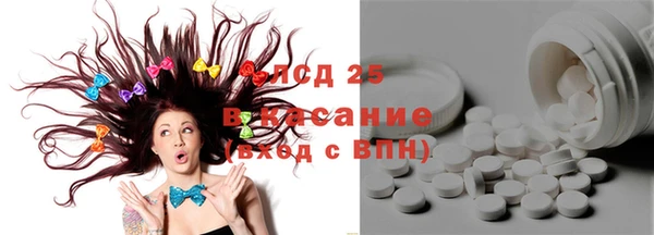 гашик Бородино