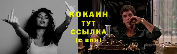 гашик Бородино