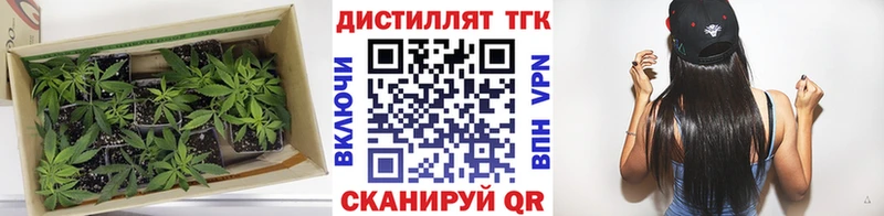 Дистиллят ТГК Wax ссылка на мегу tor Щучье